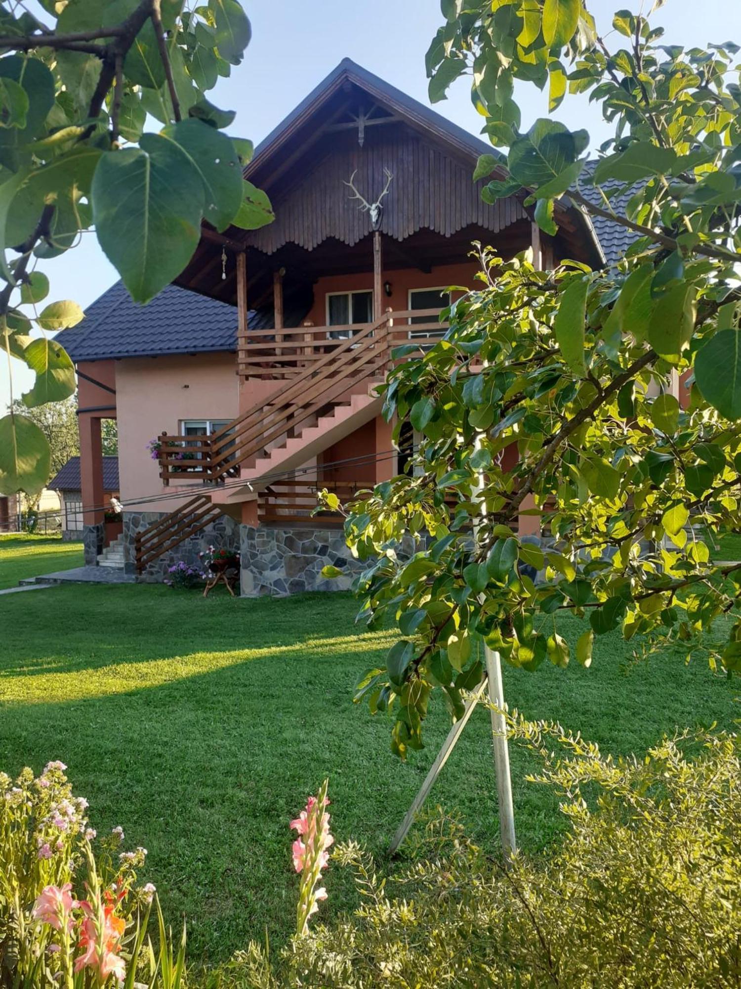 Pensiunea Martuca Surdesti  Exterior foto
