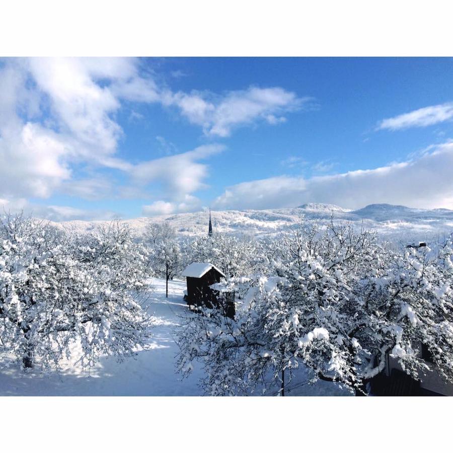 Pensiunea Martuca Surdesti  Exterior foto